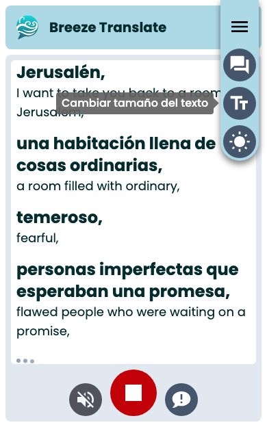 Large text size